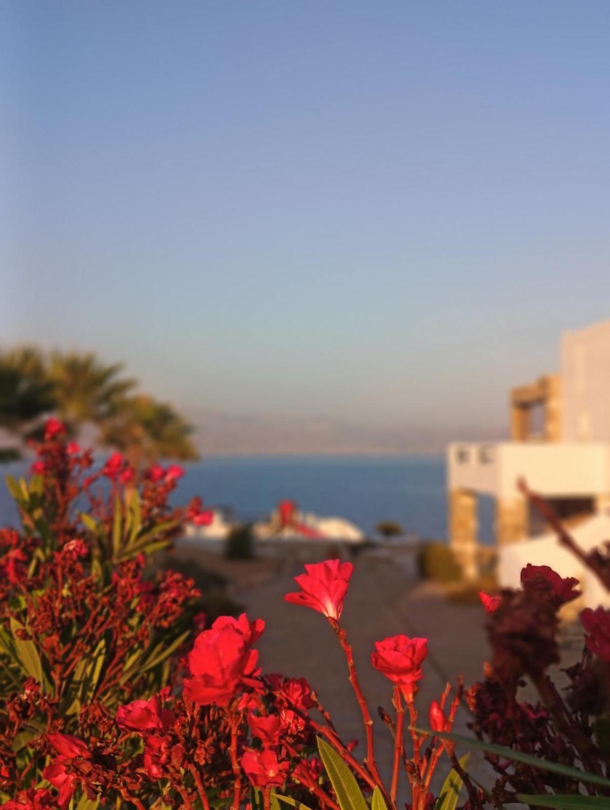 Aura Paros Lägenhet Logaras Exteriör bild